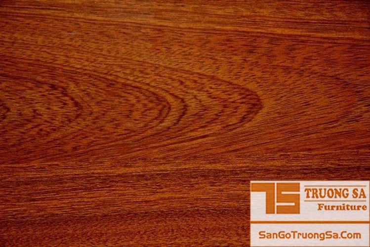 Sàn gỗ Kando KD126 » Sàn gỗ Trường Sa | Tổng kho sàn gỗ chính hãng ...